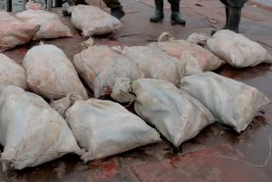 Браконьеры с 500 кг рыбы в открытом море были задержаны Ростовским погранотрядом.